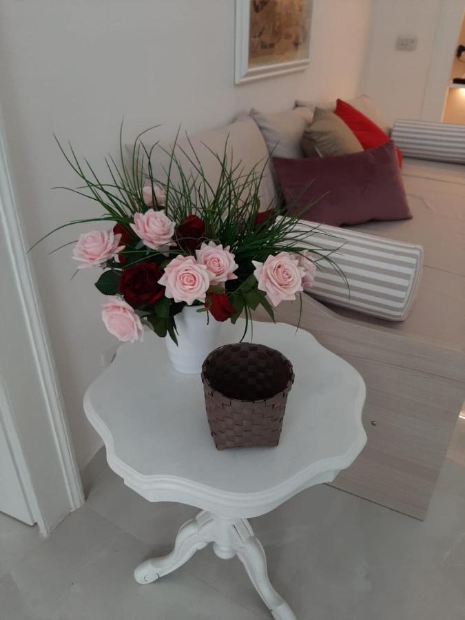 La Vie En Rose - Casa Vacanze Diamante Exterior photo