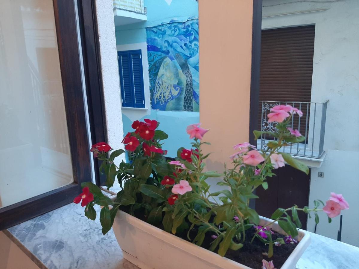 La Vie En Rose - Casa Vacanze Diamante Exterior photo